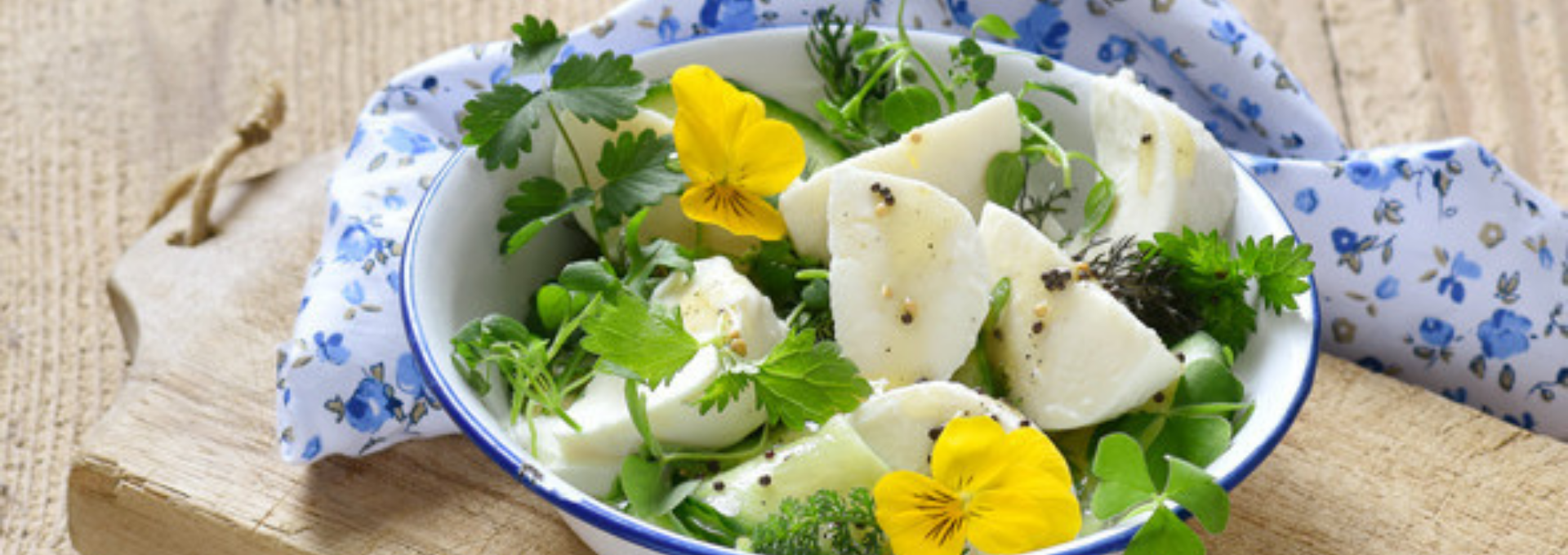 Wildkräuter-Salat mit Mozzarella